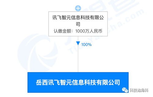 科大讯飞深化教育领域布局，在安徽岳西成立新公司专注智慧教学